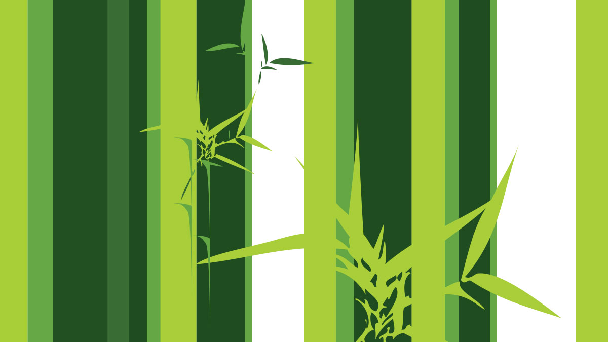 bamboo visual